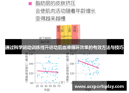 通过科学运动训练提升运动后血液循环效果的有效方法与技巧