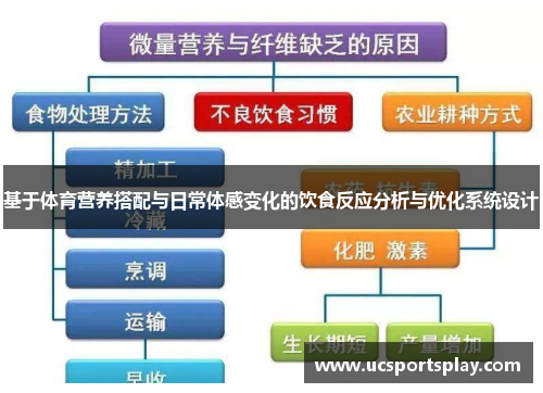 基于体育营养搭配与日常体感变化的饮食反应分析与优化系统设计