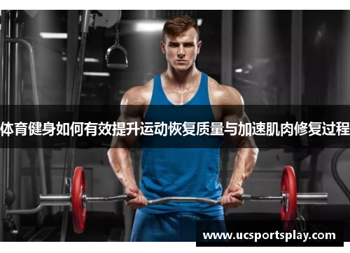 体育健身如何有效提升运动恢复质量与加速肌肉修复过程
